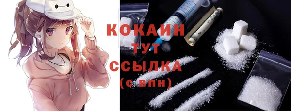 шишки Аркадак