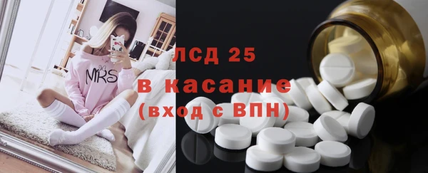 шишки Аркадак