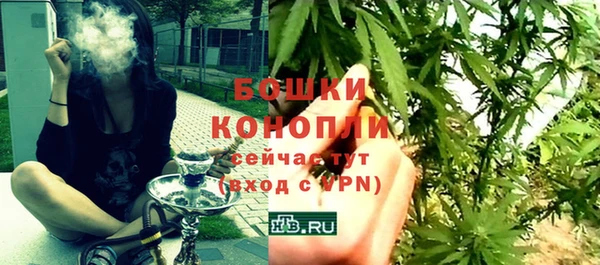 шишки Аркадак