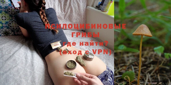 индика Армянск
