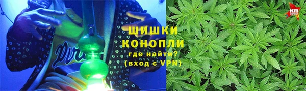 индика Армянск