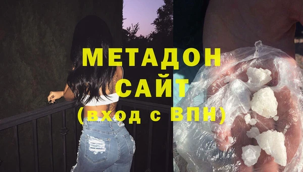 шишки Аркадак