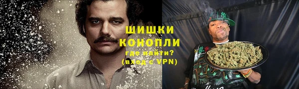 шишки Аркадак