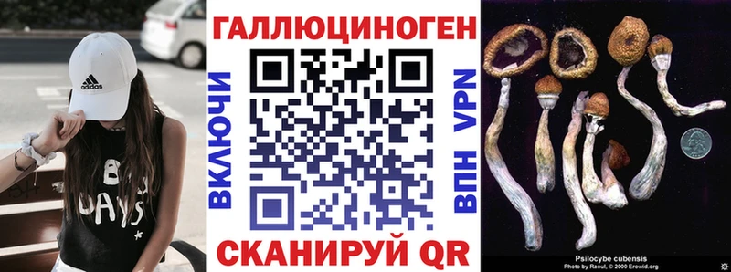 цены Сафоново Псилоцибиновые грибы Psilocybine cubensis