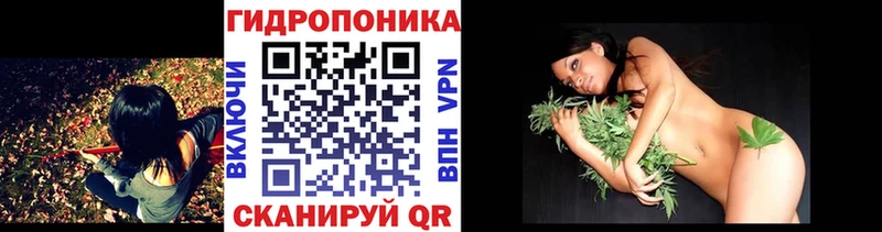 Конопля планчик  Сафоново 